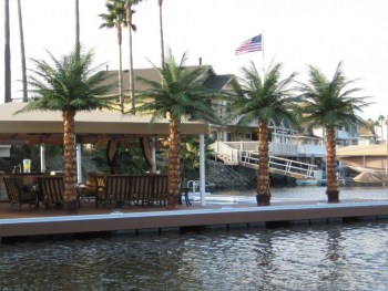 Outdoor Artificial Palm Trees Phoenix Realistic Waterfront Large Tropical